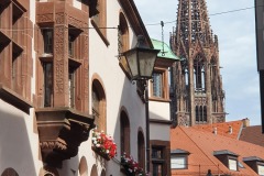 B-Friburgo-40