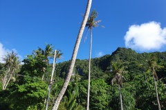 Guam-102