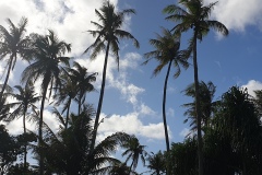 Guam-121