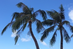 Guam-15