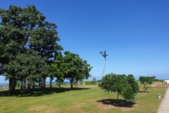 Guam-64