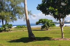 Guam-65