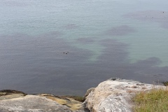 3-Nuuk-107