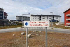3-Nuuk-56