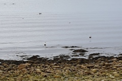 3-Nuuk-82