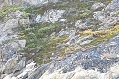2-Sisimiut-203