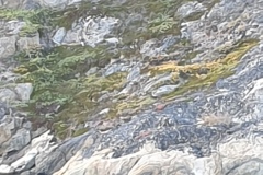 2-Sisimiut-204