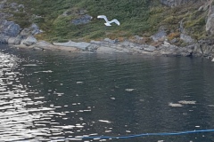 2-Sisimiut-207