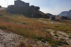 2-Sisimiut-40