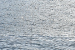 2-Sisimiut-65