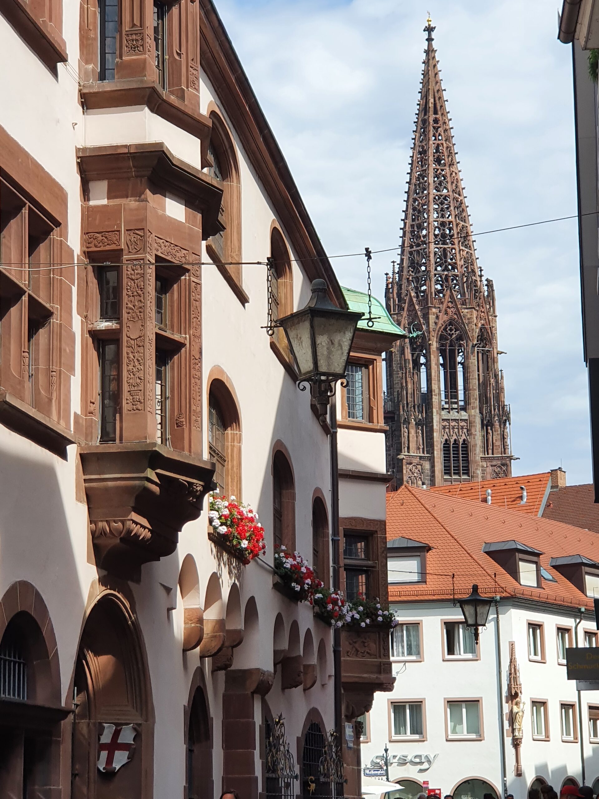Germania (Friburgo)