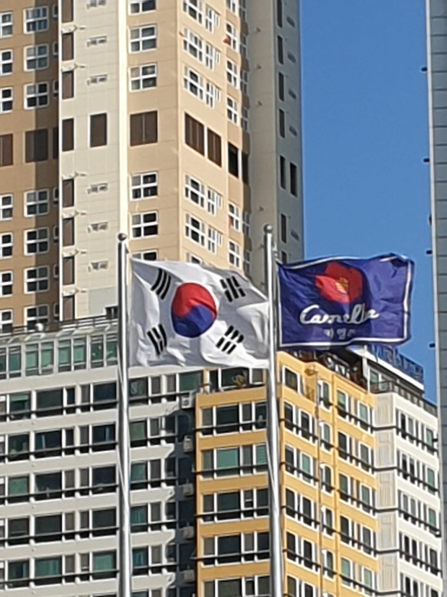 Bandiere nel mondo (Korea del Sud)