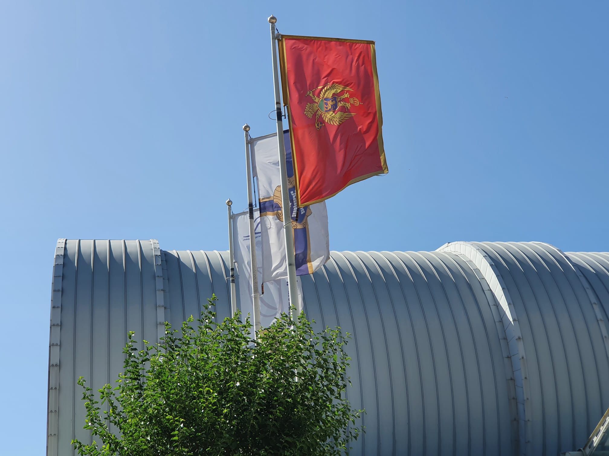 Bandiere nel mondo (Montenegro)
